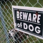 What Happens If a USPS Worker Is Attacked by a Dog While Delivering Mail?