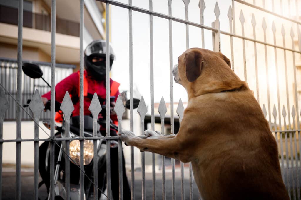 Food delivery workers spend their days going from one home, apartment building, and business to another. Most deliveries end with nothing more than dropping off an order and moving on to the next customer. But when a dog attacks a delivery driver, a routine stop can quickly turn into a serious injury. A delivery driver may encounter a dog while walking toward a customer's door, returning to a vehicle, or entering a property to complete a delivery. Even a dog that has never bitten anyone before can cause significant injuries.